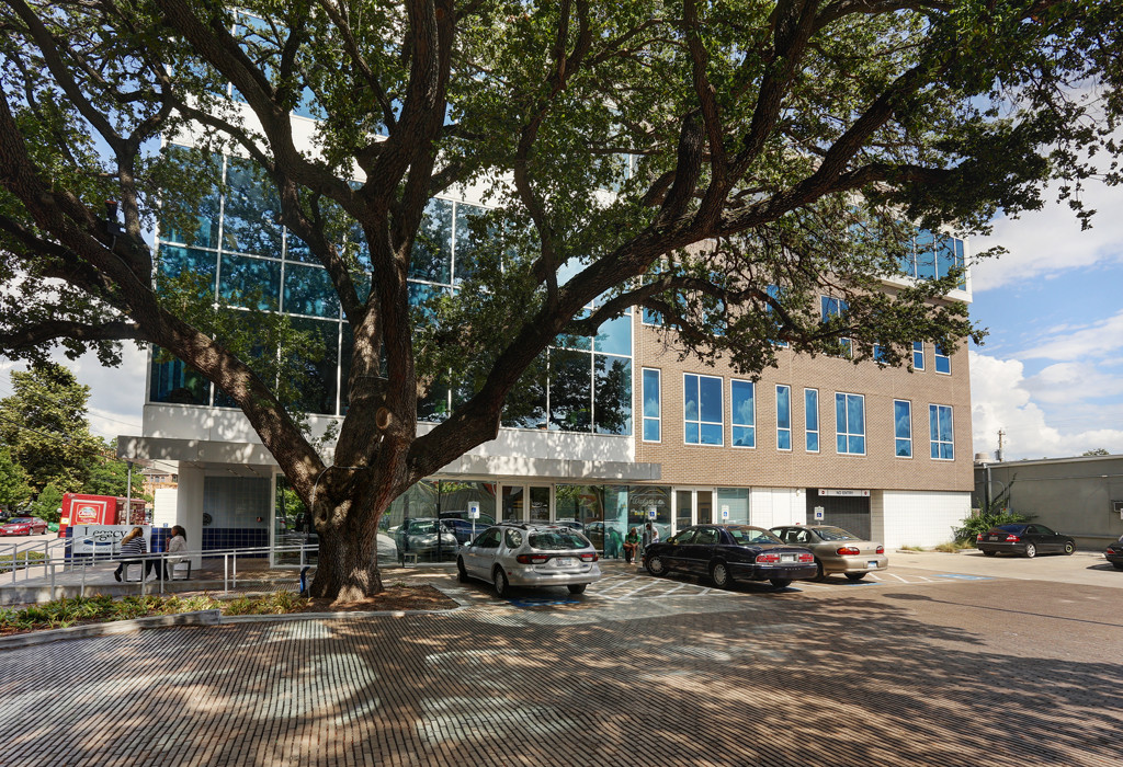 Oak Tree Outside Legacy Community Health Montrose Clinic