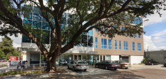 Oak Tree Outside Legacy Community Health Montrose Clinic