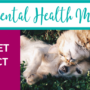 MHM-The Pet Effect