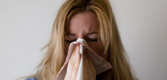 2019 Flu Season
