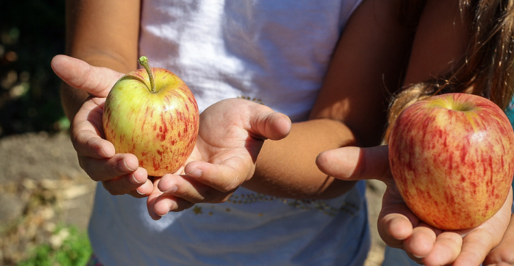 Children with fruit